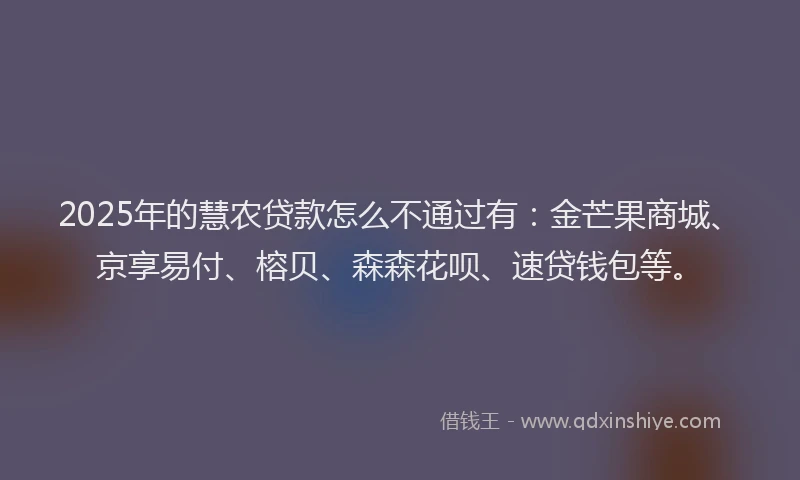 2025年的慧农贷款怎么不通过有：金芒果商城、京享易付、榕贝、森森花呗、速贷钱包等。