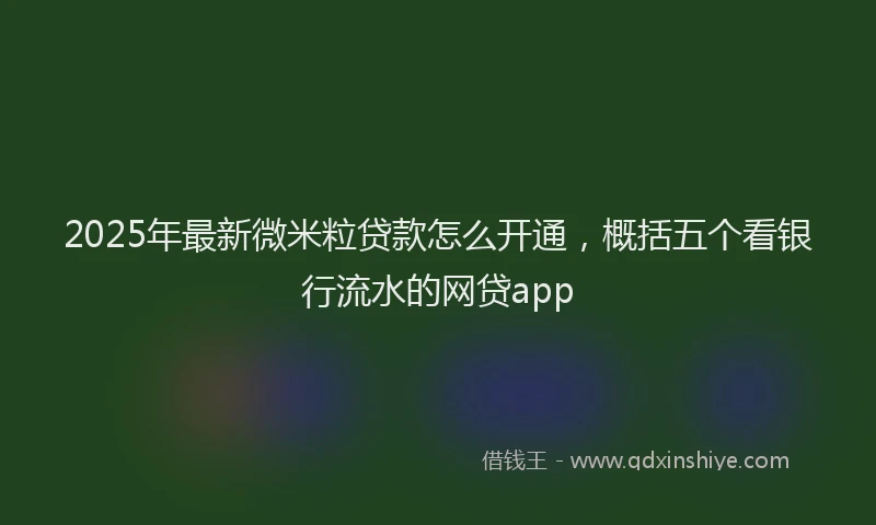 2025年最新微米粒贷款怎么开通，概括五个看银行流水的网贷app