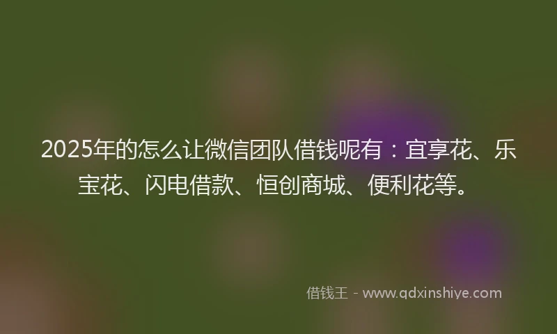 2025年的怎么让微信团队借钱呢有：宜享花、乐宝花、闪电借款、恒创商城、便利花等。