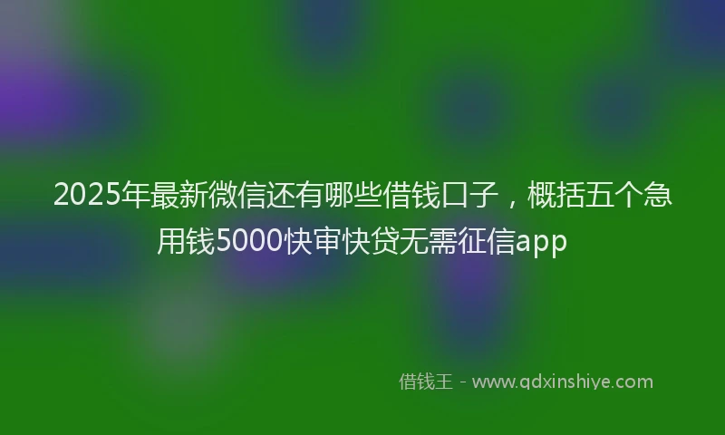 2025年最新微信还有哪些借钱口子，概括五个急用钱5000快审快贷无需征信app