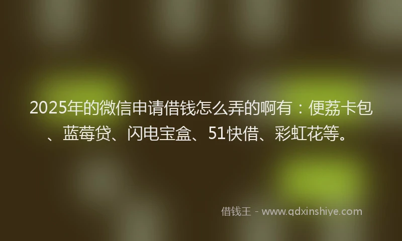 2025年的微信申请借钱怎么弄的啊有：便荔卡包、蓝莓贷、闪电宝盒、51快借、彩虹花等。