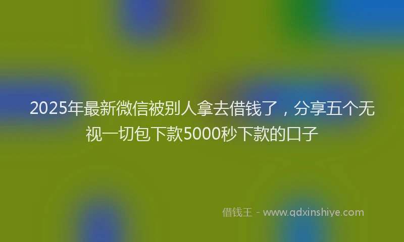2025年最新微信被别人拿去借钱了，分享五个无视一切包下款5000秒下款的口子