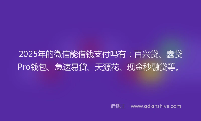 2025年的微信能借钱支付吗有：百兴贷、鑫贷Pro钱包、急速易贷、天源花、现金秒融贷等。