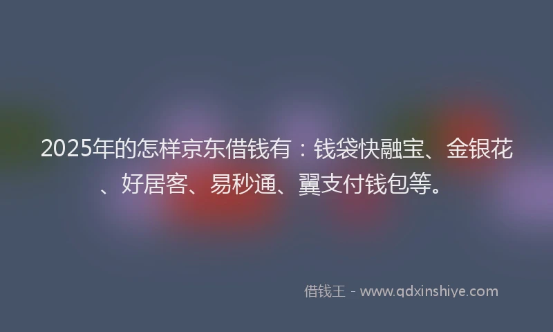 2025年的怎样京东借钱有：钱袋快融宝、金银花、好居客、易秒通、翼支付钱包等。