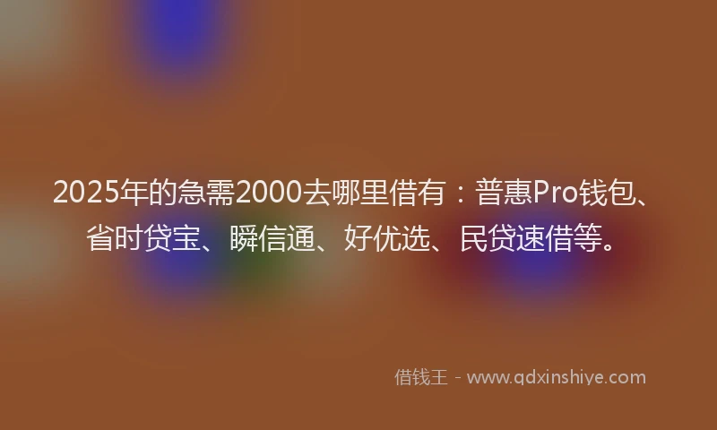 2025年的急需2000去哪里借有：普惠Pro钱包、省时贷宝、瞬信通、好优选、民贷速借等。