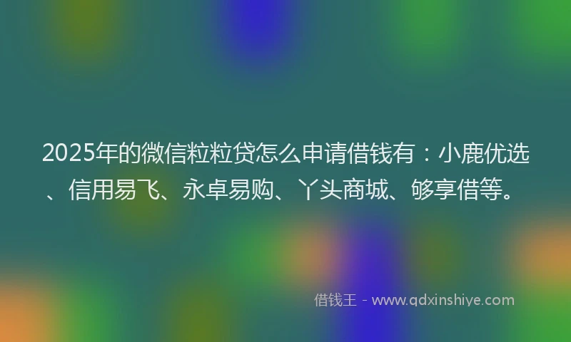 2025年的微信粒粒贷怎么申请借钱有：小鹿优选、信用易飞、永卓易购、丫头商城、够享借等。