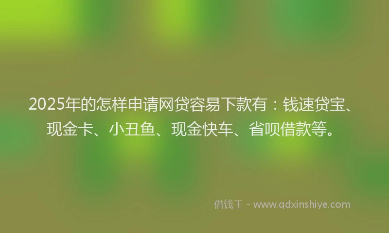 2025年的怎样申请网贷容易下款有：钱速贷宝、现金卡、小丑鱼、现金快车、省呗借款等。