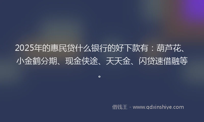 2025年的惠民贷什么银行的好下款有：葫芦花、小金鹤分期、现金侠途、天天金、闪贷速借融等。