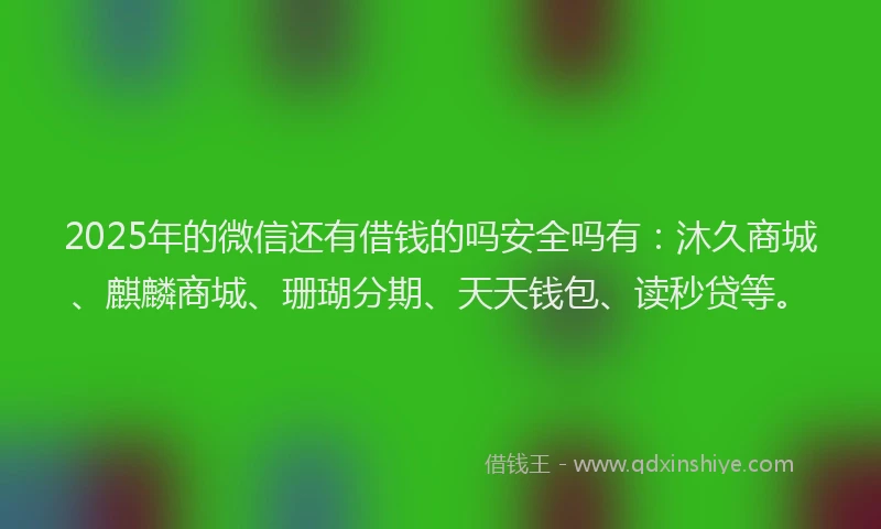 2025年的微信还有借钱的吗安全吗有：沐久商城、麒麟商城、珊瑚分期、天天钱包、读秒贷等。
