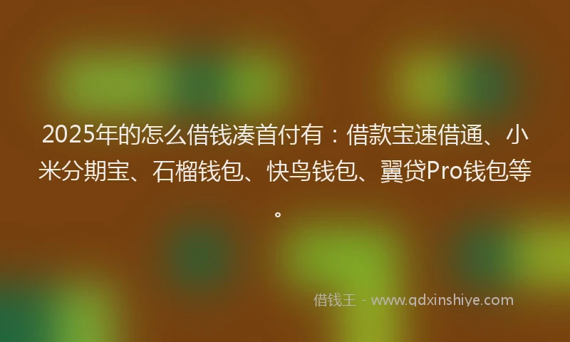2025年的怎么借钱凑首付有：借款宝速借通、小米分期宝、石榴钱包、快鸟钱包、翼贷Pro钱包等。