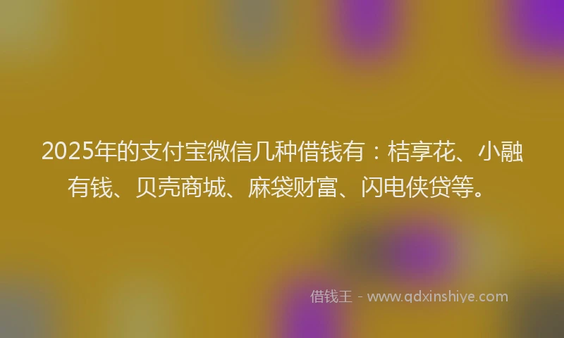 2025年的支付宝微信几种借钱有：桔享花、小融有钱、贝壳商城、麻袋财富、闪电侠贷等。