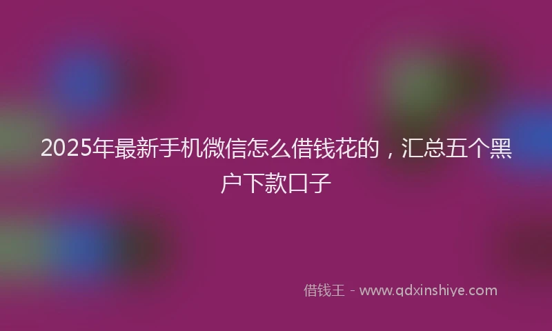2025年最新手机微信怎么借钱花的，汇总五个黑户下款口子