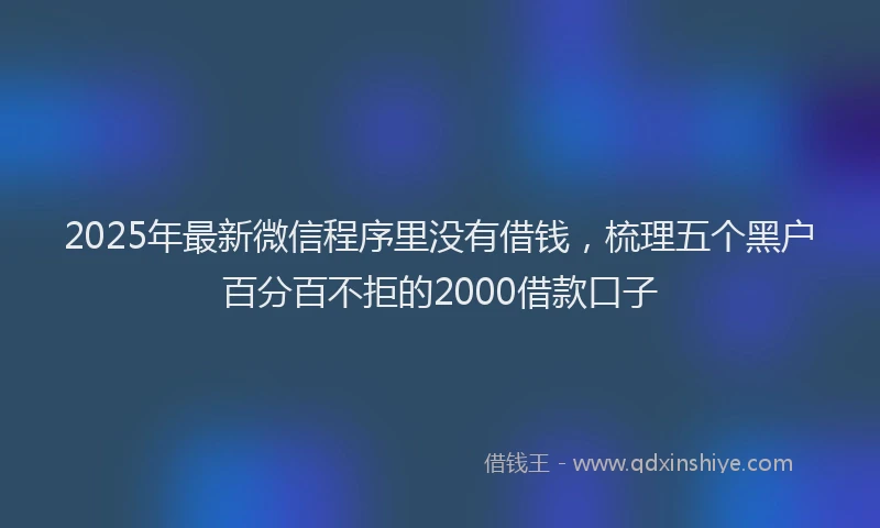 2025年最新微信程序里没有借钱，梳理五个黑户百分百不拒的2000借款口子