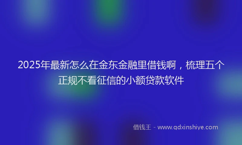 2025年最新怎么在金东金融里借钱啊，梳理五个正规不看征信的小额贷款软件