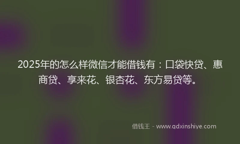 2025年的怎么样微信才能借钱有：口袋快贷、惠商贷、享来花、银杏花、东方易贷等。