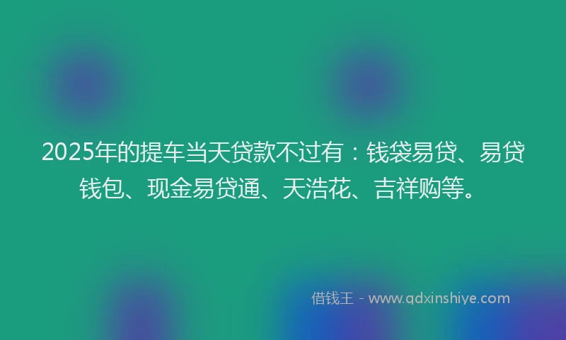 2025年的提车当天贷款不过有：钱袋易贷、易贷钱包、现金易贷通、天浩花、吉祥购等。