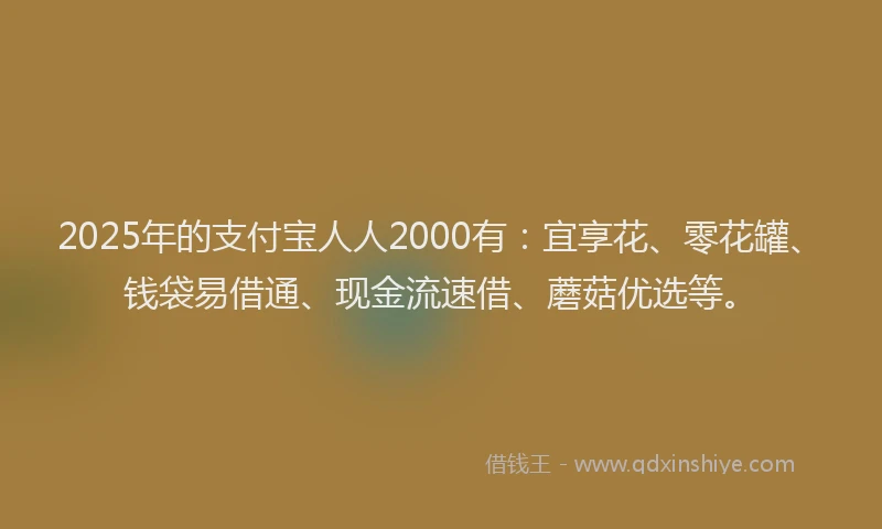 2025年的支付宝人人2000有：宜享花、零花罐、钱袋易借通、现金流速借、蘑菇优选等。