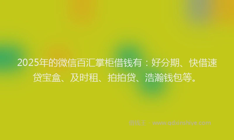 2025年的微信百汇掌柜借钱有：好分期、快借速贷宝盒、及时租、拍拍贷、浩瀚钱包等。