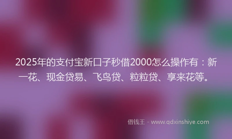 2025年的支付宝新口子秒借2000怎么操作有：新一花、现金贷易、飞鸟贷、粒粒贷、享来花等。