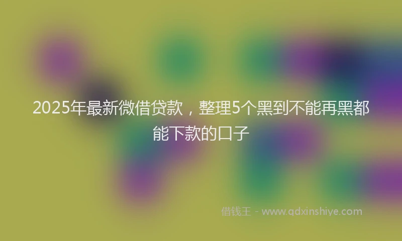 2025年最新微借贷款，整理5个黑到不能再黑都能下款的口子