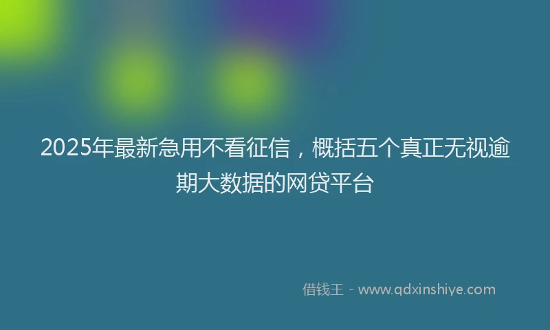 2025年最新急用不看征信，概括五个真正无视逾期大数据的网贷平台