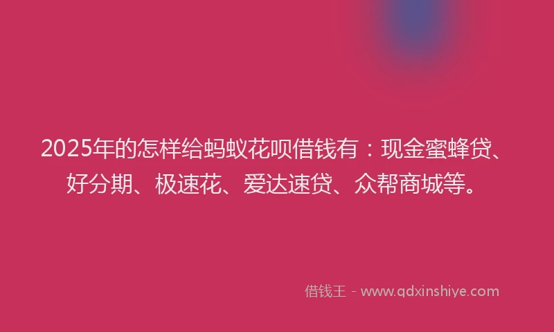2025年的怎样给蚂蚁花呗借钱有：现金蜜蜂贷、好分期、极速花、爱达速贷、众帮商城等。