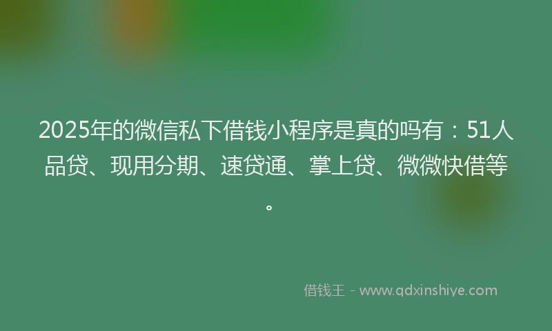 2025年的微信私下借钱小程序是真的吗有：51人品贷、现用分期、速贷通、掌上贷、微微快借等。