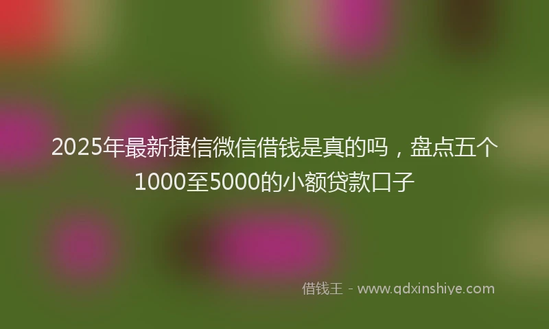 2025年最新捷信微信借钱是真的吗，盘点五个1000至5000的小额贷款口子