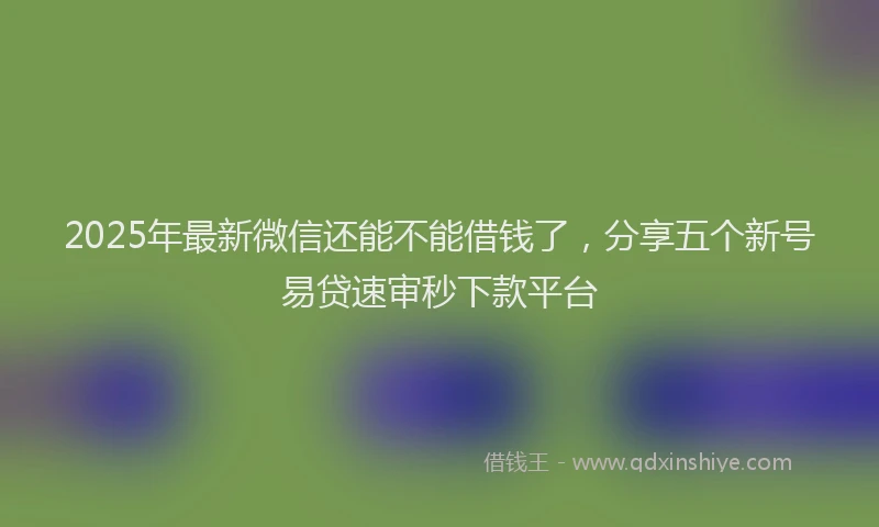 2025年最新微信还能不能借钱了，分享五个新号易贷速审秒下款平台