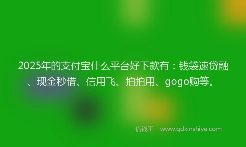 2025年的支付宝什么平台好下款有：钱袋速贷融、现金秒借、信用飞、拍拍用、gogo购等。