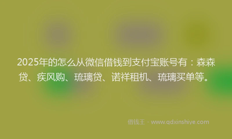 2025年的怎么从微信借钱到支付宝账号有：森森贷、疾风购、琉璃贷、诺祥租机、琉璃买单等。