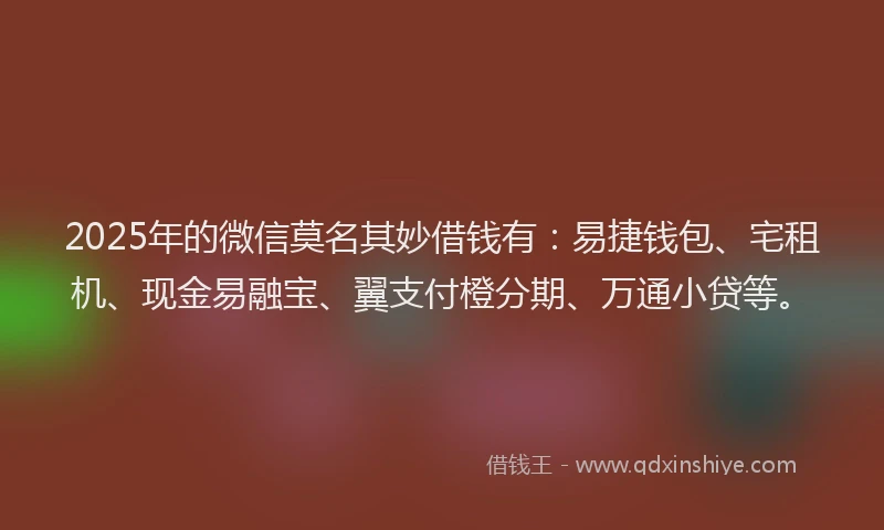 2025年的微信莫名其妙借钱有：易捷钱包、宅租机、现金易融宝、翼支付橙分期、万通小贷等。