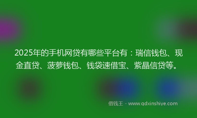 2025年的手机网贷有哪些平台有：瑞信钱包、现金直贷、菠萝钱包、钱袋速借宝、紫晶信贷等。