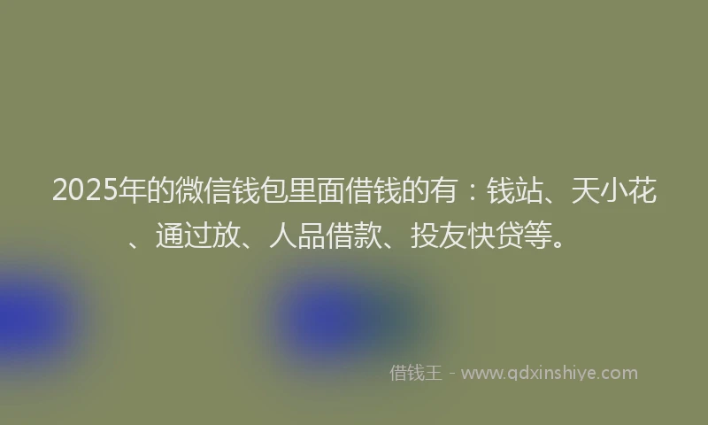 2025年的微信钱包里面借钱的有：钱站、天小花、通过放、人品借款、投友快贷等。