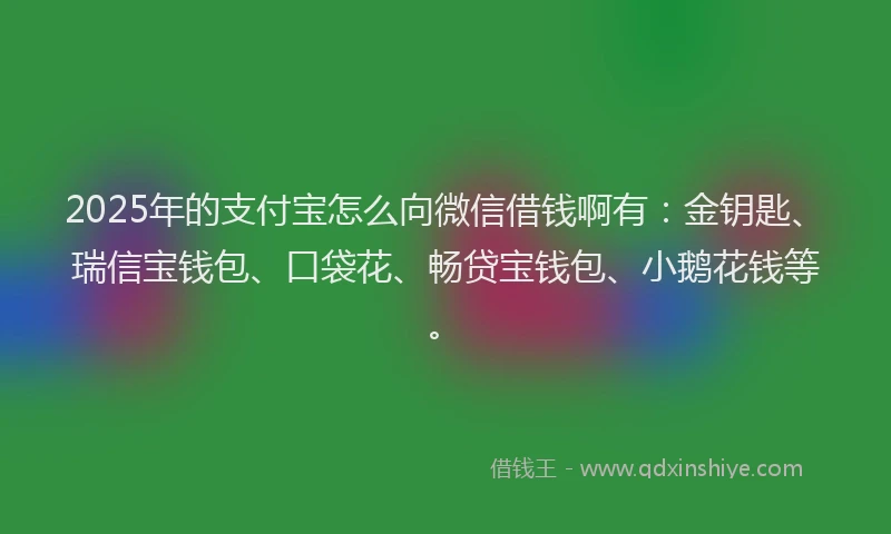 2025年的支付宝怎么向微信借钱啊有：金钥匙、瑞信宝钱包、口袋花、畅贷宝钱包、小鹅花钱等。