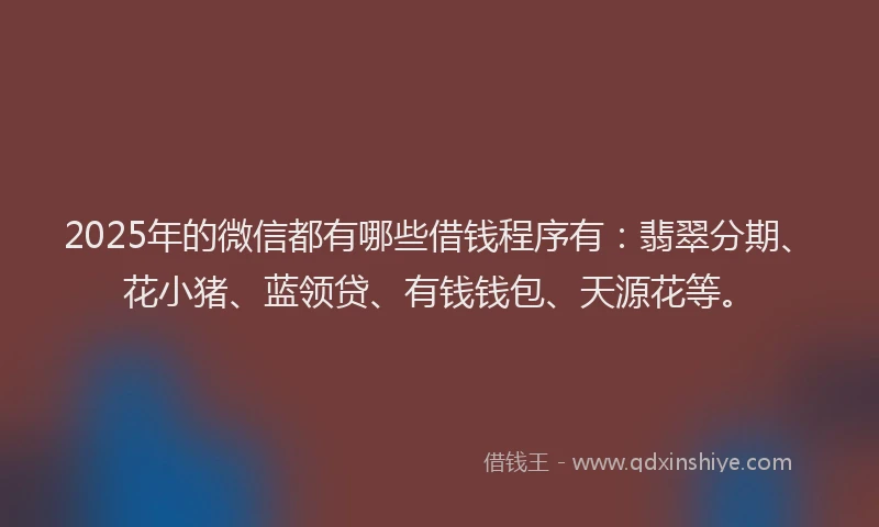 2025年的微信都有哪些借钱程序有：翡翠分期、花小猪、蓝领贷、有钱钱包、天源花等。