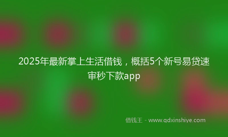 2025年最新掌上生活借钱，概括5个新号易贷速审秒下款app