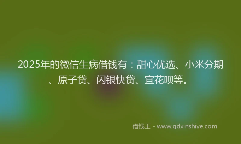 2025年的微信生病借钱有：甜心优选、小米分期、原子贷、闪银快贷、宜花呗等。
