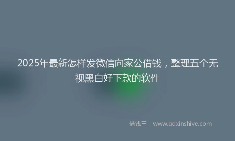 2025年最新怎样发微信向家公借钱，整理五个无视黑白好下款的软件