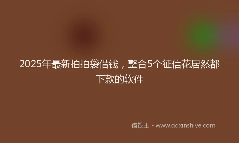 2025年最新拍拍袋借钱，整合5个征信花居然都下款的软件