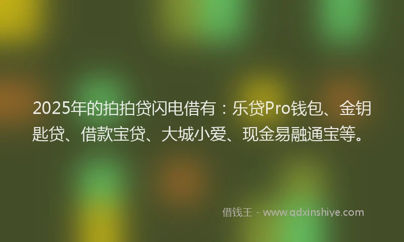 2025年的拍拍贷闪电借有：乐贷Pro钱包、金钥匙贷、借款宝贷、大城小爱、现金易融通宝等。
