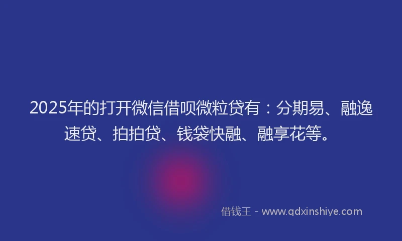 2025年的打开微信借呗微粒贷有：分期易、融逸速贷、拍拍贷、钱袋快融、融享花等。