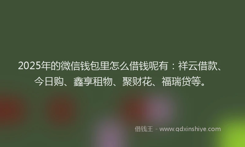 2025年的微信钱包里怎么借钱呢有：祥云借款、今日购、鑫享租物、聚财花、福瑞贷等。