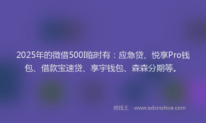 2025年的微借500I临时有：应急贷、悦享Pro钱包、借款宝速贷、享宇钱包、森森分期等。