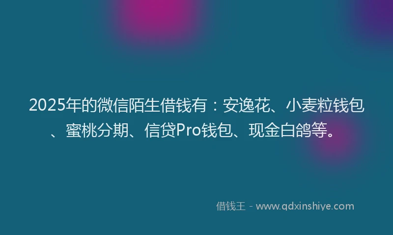 2025年的微信陌生借钱有：安逸花、小麦粒钱包、蜜桃分期、信贷Pro钱包、现金白鸽等。