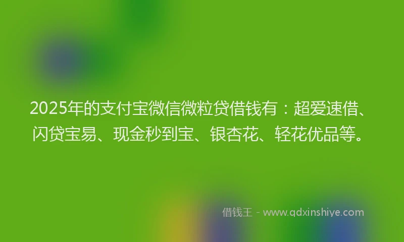 2025年的支付宝微信微粒贷借钱有：超爱速借、闪贷宝易、现金秒到宝、银杏花、轻花优品等。