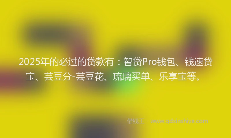 2025年的必过的贷款有：智贷Pro钱包、钱速贷宝、芸豆分-芸豆花、琉璃买单、乐享宝等。