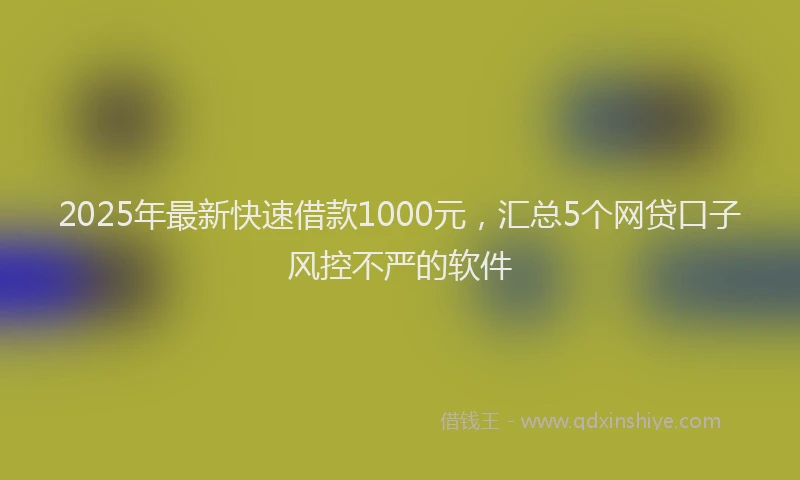 2025年最新快速借款1000元，汇总5个网贷口子风控不严的软件