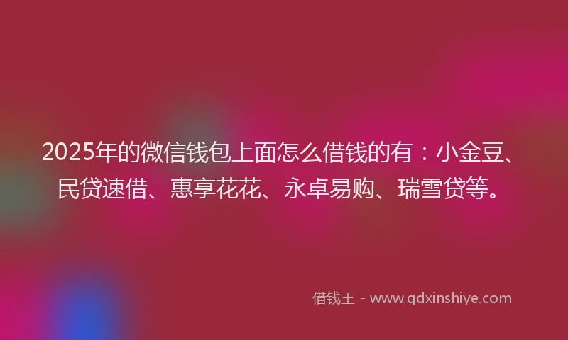 2025年的微信钱包上面怎么借钱的有：小金豆、民贷速借、惠享花花、永卓易购、瑞雪贷等。