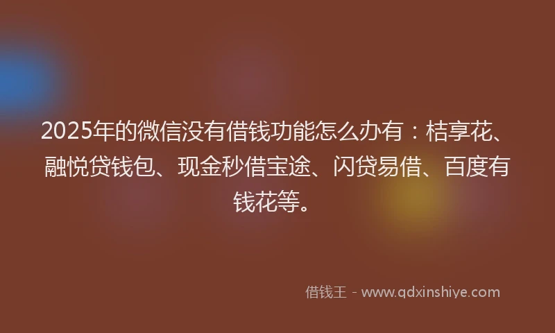 2025年的微信没有借钱功能怎么办有：桔享花、融悦贷钱包、现金秒借宝途、闪贷易借、百度有钱花等。